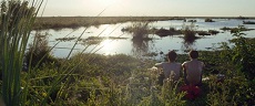 Die "Esteros del Iberá" in Argentinien